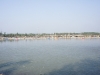 SONY DSC